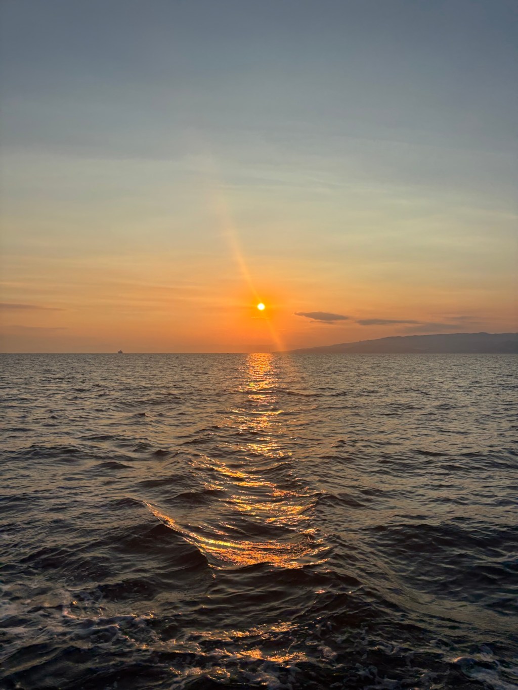 The pursuit of&nbsp;happiness