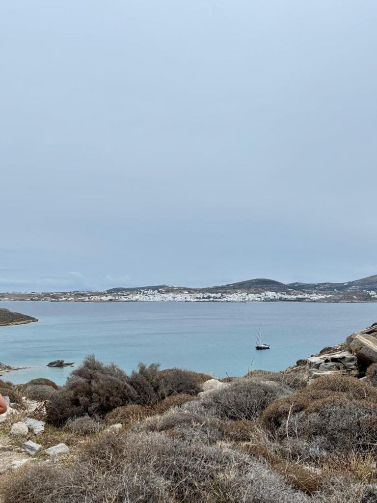 Trust the process…